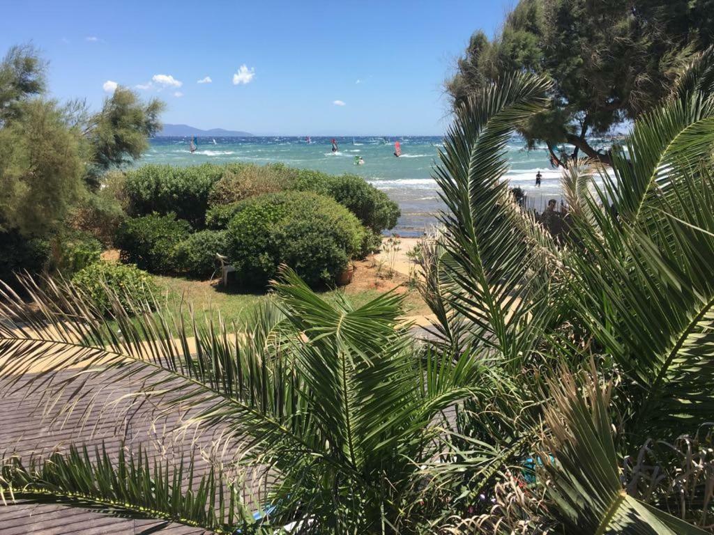 Windsurfing Seaside Apartment Artemida المظهر الخارجي الصورة