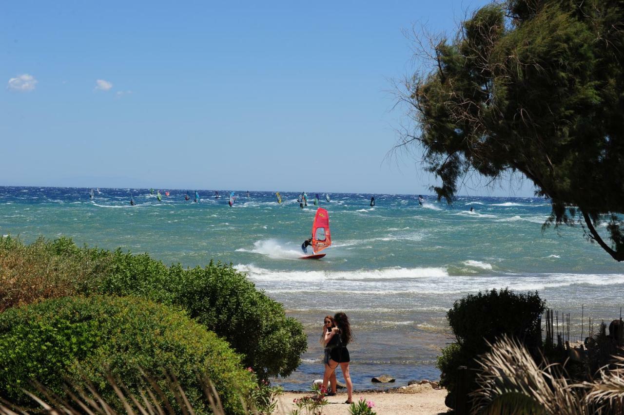 Windsurfing Seaside Apartment Artemida المظهر الخارجي الصورة