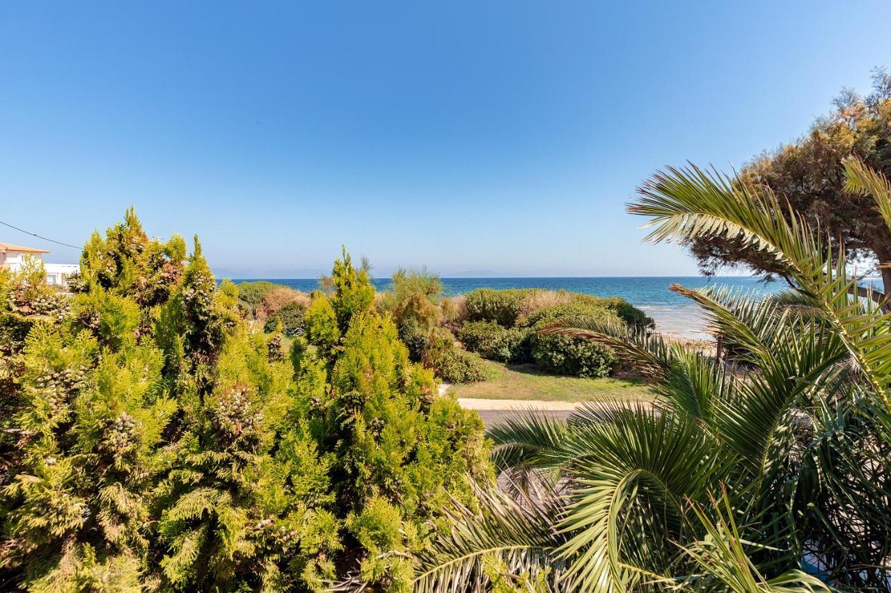 Windsurfing Seaside Apartment Artemida المظهر الخارجي الصورة